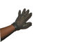 Rękawice ochronne ze stali nierdzewnej Nylon i metalowy pasek dla rzeźnika